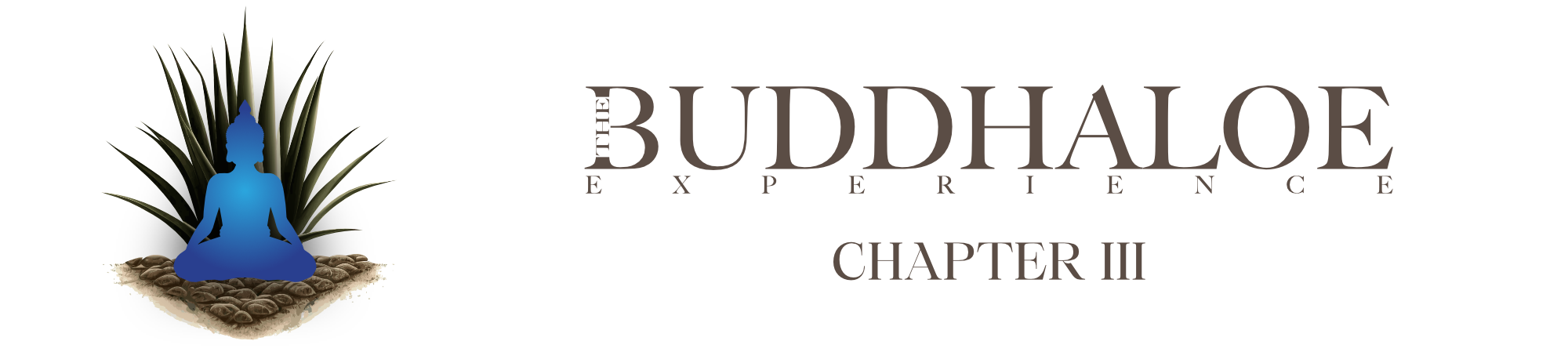 The Buddhaloe Experience