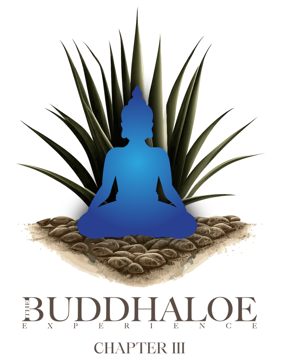 The Buddhaloe Experience